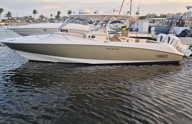 Stingrays City and Snorkeling Half Day in Grand Cayman