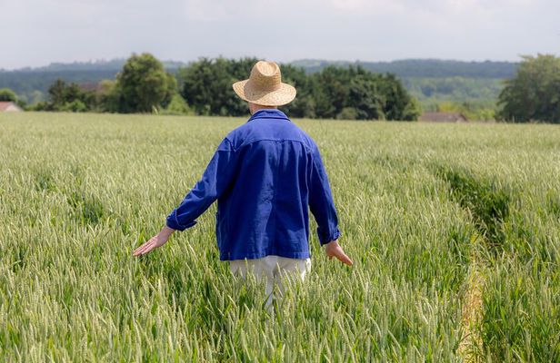 Unique Van Gogh immersive tour in Auvers sur Oise - 1.5 hours