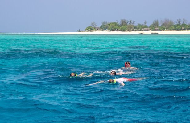 Zanzibar: Amazing white sandbank & snorkeling with BBQ Lunch