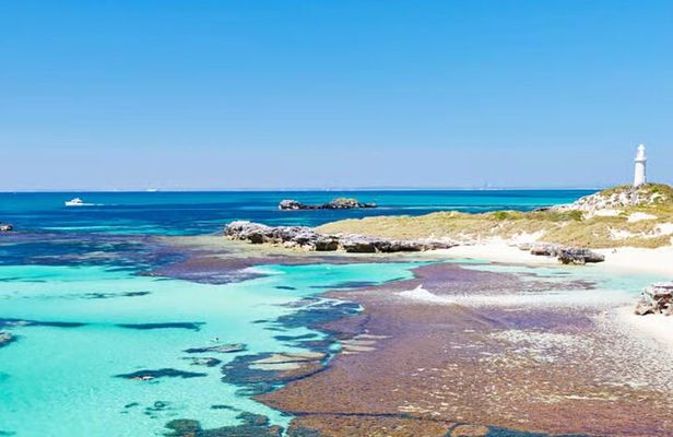 PUBLIC TOUR > Wadjemup Tour Rottnest Island E Bike Adventure