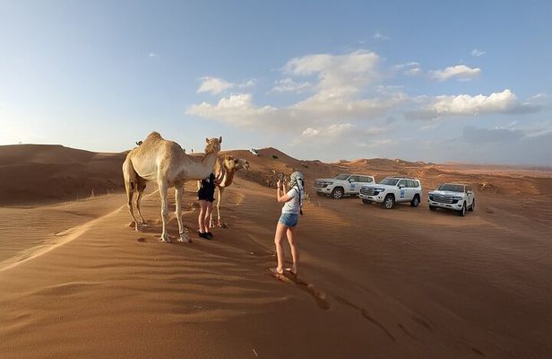 Dubai Evening Desert Safari with BBQ Dinner & Live Shows