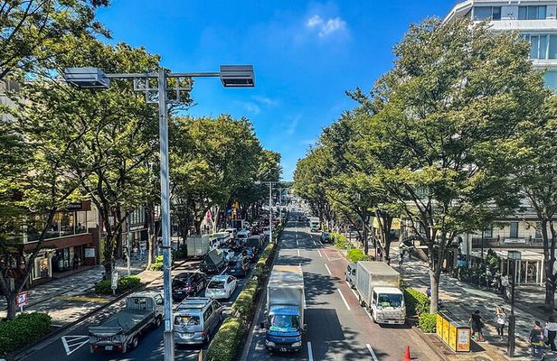 Tokyo Private Guided Day Tour with Private Vehicle Hotel Pickup