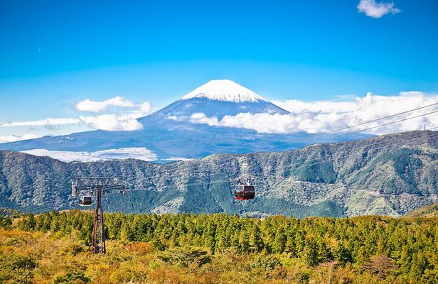 Mount Fuji Majesty with Hakone Wonders Exclusive Private Day Trip