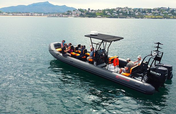 Discover the essentials of the Basque coast by boat