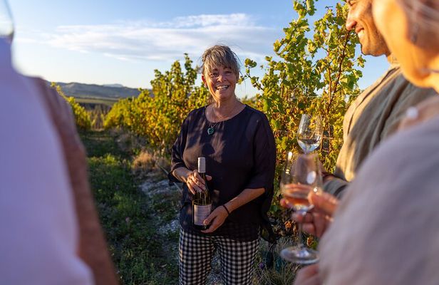 Private Biking Wine Tour (full day) in the Marlborough Region