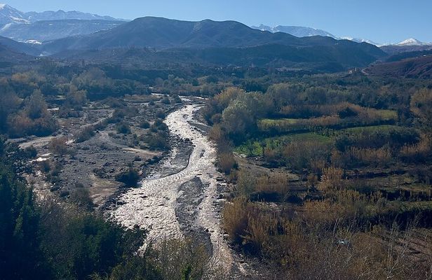 Full Day Ourika Valley Tour from Marrakech Mountains and Culture
