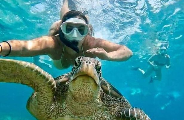 Snorkeling Blue Lagoon and Tanjung Jepun All Inclusive