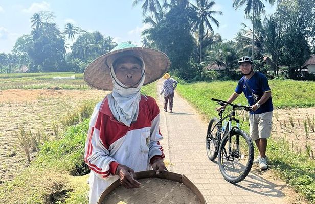 Ubud Countryside Cycling Tour with Village Lunch