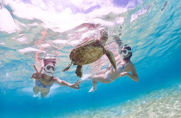 Miyakojima 《Private VIP Plan》[With drone photography｜Nemo & sea turtle snorkel tour] No additional charge｜Full refund guarantee｜Free rental and photography