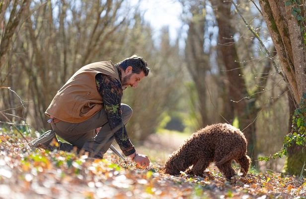truffle hunting