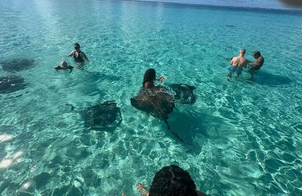 Half-Day Adventure Stingray City, Snorkeling, Starfish Point