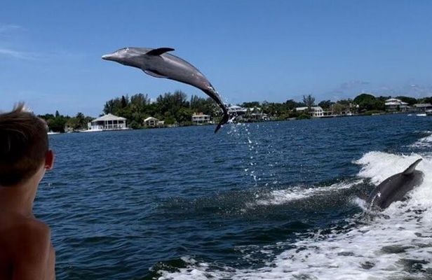 Siesta Key 2 Hour Private Charter- Siestas Best Dolphin Tour