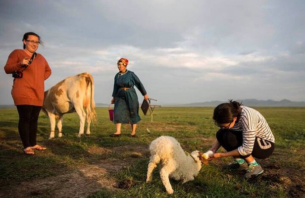 Khustain Nuruu National Park 2 Day Tour