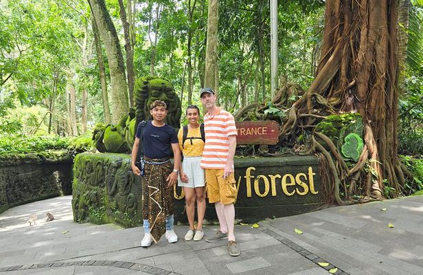 All Inclusive Ubud Tour Sacred Monkey Forest and Rice Terraces