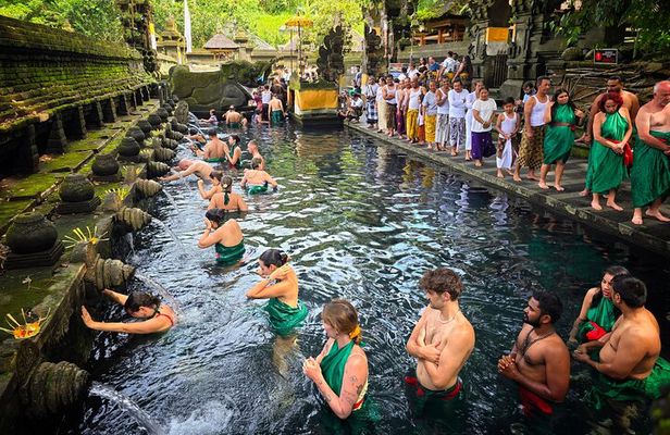 Ubud Tour: Monkey Forest, Jungle Swing, Tegalalang Rice Terrace