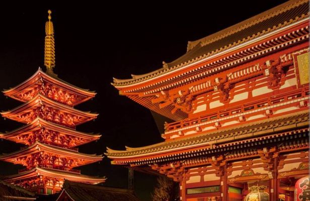 Night town and Cherry Light-up tour and Modern Samurai show