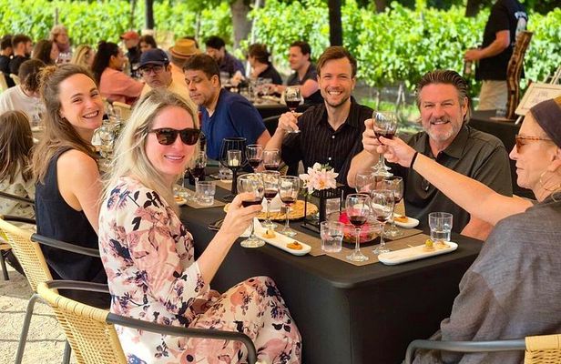 Maipo Valley Wine Tour: 4 Wineries, Great Views, Fun Tastings