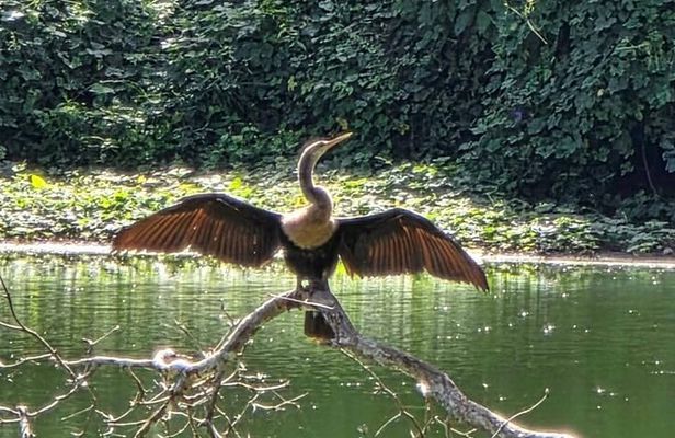 Bacalar Ichkabal Ruins and Boat Tour on the 7 Colors Lagoon