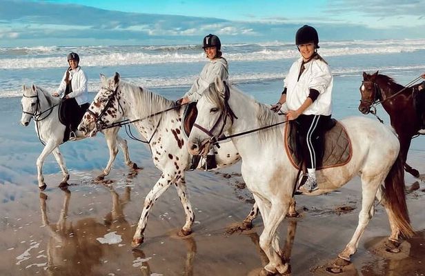 Horseback Riding Experience at Casablanca Beach