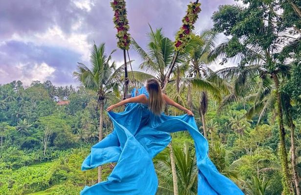 Private Bali Tour Bali Swing Rice Terrace Temple and Waterfall