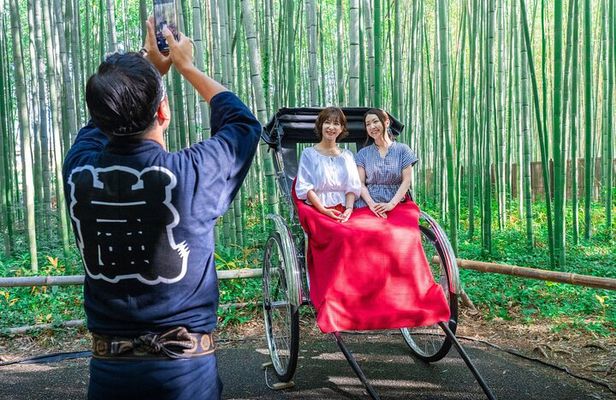 Kyoto Luxury Private Car Tour with Local Guide-Nara&Osaka Options