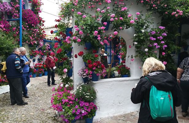 Courtyards of Cordoba Guided Tour