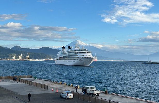Private Sightseeing Tour from Shimizu Port Medium Bus