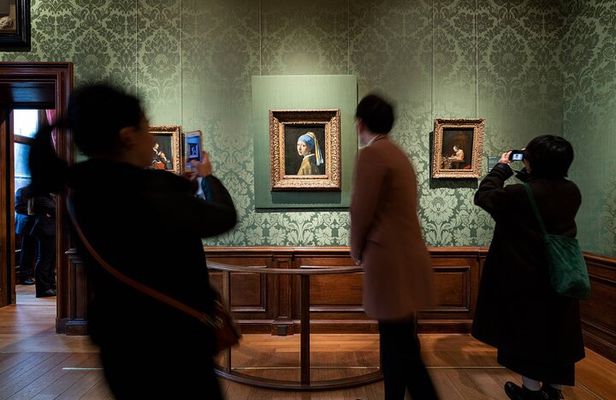 Mauritshuis Museum The Hague - Private Guided Tour with Entry