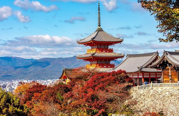 Kyoto Half Day Small Group Tour