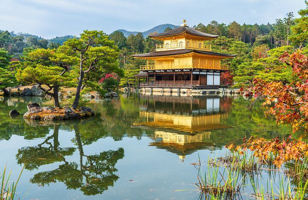 Best of Kyoto Half Day Small Group Tour from Osaka