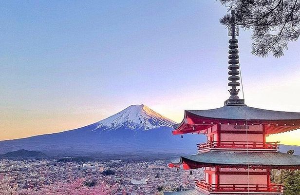 Mount Fuji Full-Day Private Tour with Hotel Pickup (Customizable)