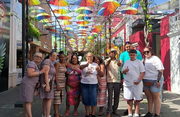 City Tour From Taino Bay And Amber Cove Shore Excursion