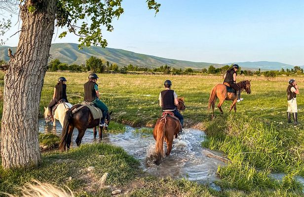 2 Hour Horse Riding Tour at Palomino Ranch near Tbilisi