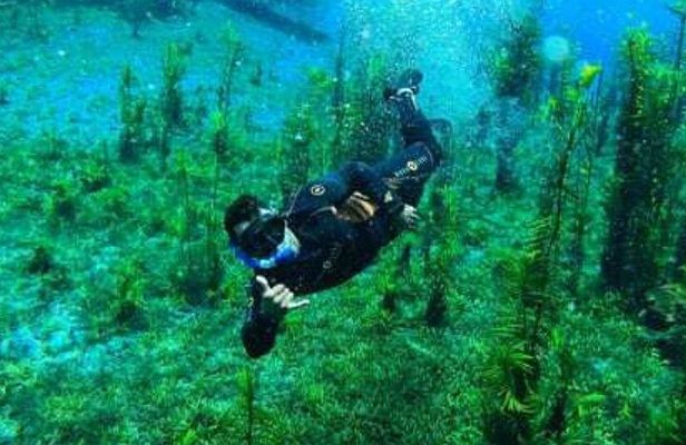 Beautiful : Snorkeling at the Blue River Fervedouro