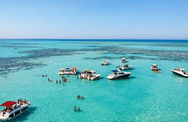 Luxury Private Speedboat Dolphin House Snorkeling Adventure