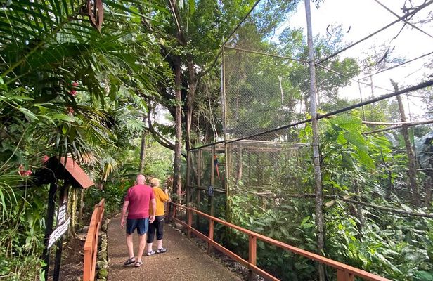 Guided Belize Zoo, Rum factory & Belize City tour