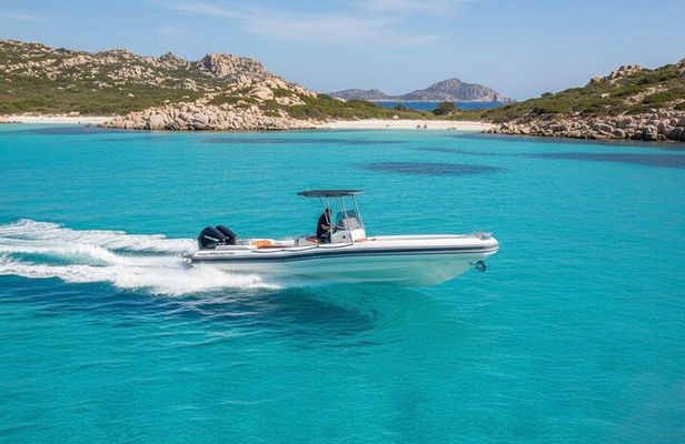 Boat Tour in the Marine Protected Area of Tavolara and Molara
