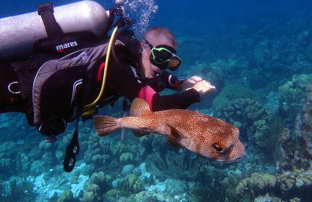 Private VIP Certified Scuba Diving in Curaçao