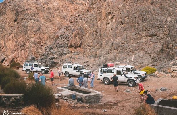 Desert Star Gazing Tour with Camel Ride and Dinner in Marsa Alam