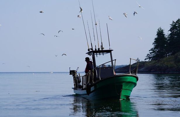 Campbell River - Fishing charters: Family-friendly & affordable