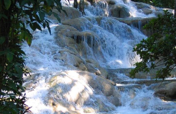 Ocho Rios Dunn's River Falls Tour from Montego Bay and Falmouth