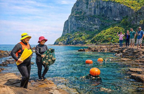 Jeju Island Eastern UNESCO site Full Day Guided Tour