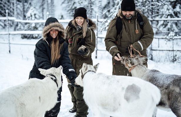 Ranua Lupland Activity Park Entry with Reindeer Experience