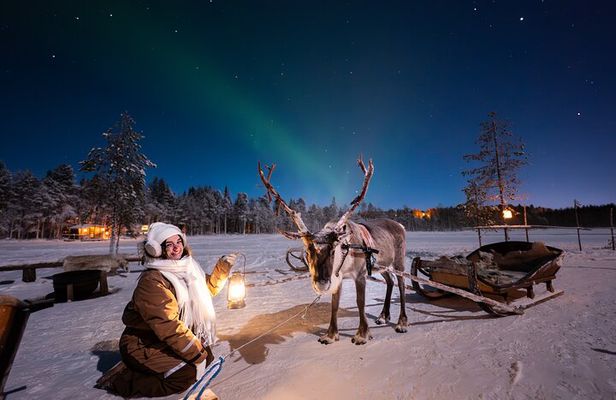 Ranua Lupland Aurora Activity Park – After Dark Adventure