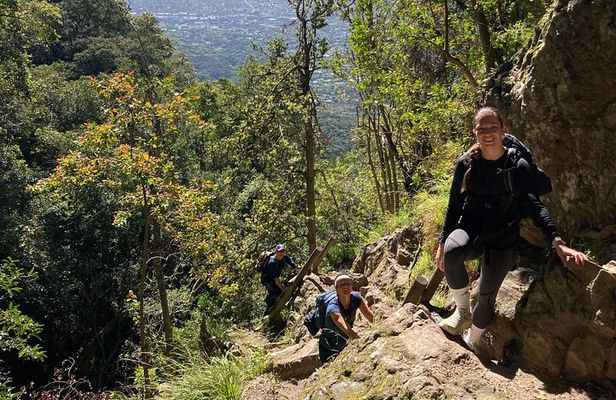 Table Mountain: Skeleton Gorge Guided Hike to Upper Station