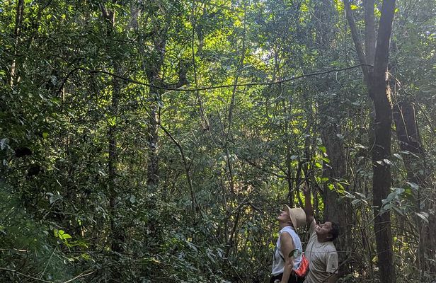 Private Monkey Sanctuary Trails with Zipline Canoe and Cenote