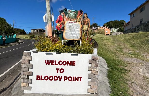 St. Kitts: Bloody Point River Hike–Petroglyphs+Bat Cave Adventure