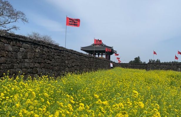 Jeju UNESCO Highlights Tour | Lava cave & with Haenyeo Show
