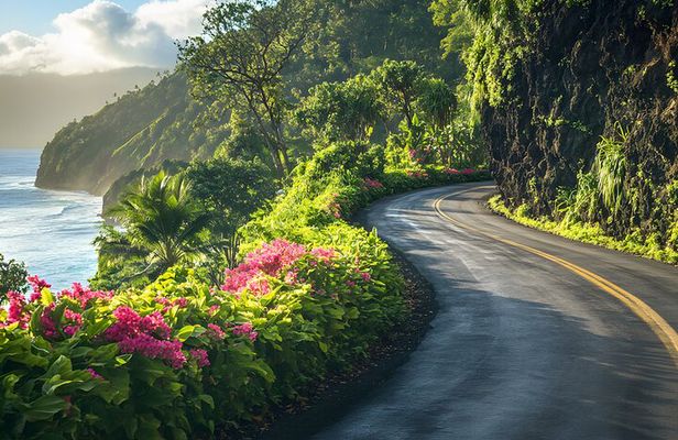 Open-Air! Road to Hana Jungle Adventure Tour! (5.5 Hours)