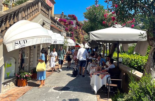 Capri Full Day Tour with Tour Guide and Ferry Tickets
